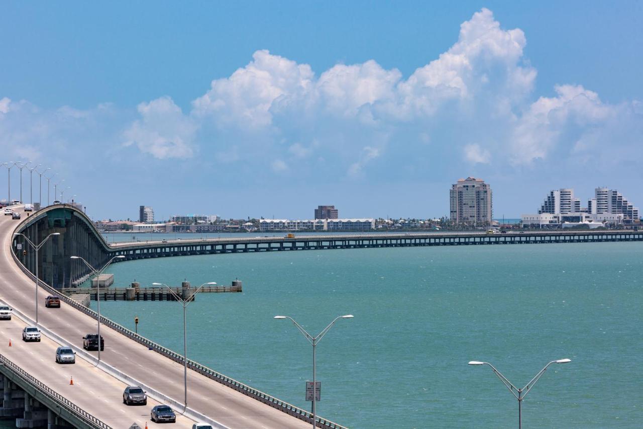 Kingfisher South Padre Island Dış mekan fotoğraf
